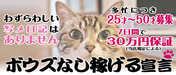 セレブな奥様
